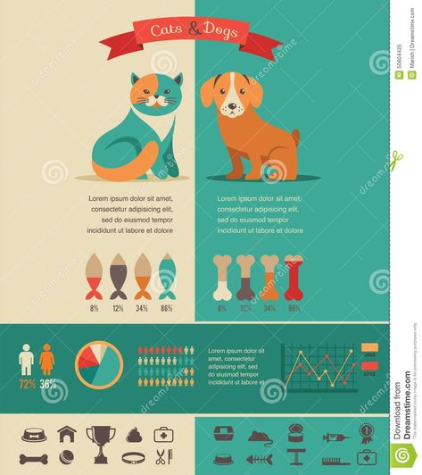 Cat And Dog Infographics With Vector Icons Set Stock Vector - Image: 50604425 Cat Breeds Ragdoll, Cat Infographic, Dog Infographic, Animal Infographic, Information Visualization, Dog Info, Dog Door, Cat Behavior, Cat And Dog