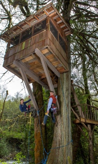 Treehouse Diy Plans, Treehouse Design Architecture, Tree Forts, Adult Tree House, Outdoor Forts, Treehouse Point, Simple Backyard, Treehouse Masters, Outdoor Play Space