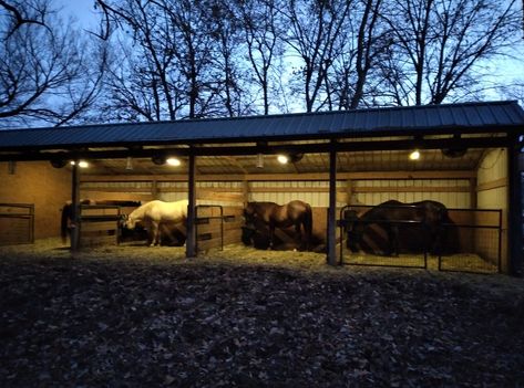 Simple Stable Ideas, Run In Horse Shelter, Lean To Horse Stalls, Homemade Horse Stalls, Outdoor Horse Stall Ideas, Horse Arena Ideas Outdoor, Horse Dry Lots, Horse Lean To, Outdoor Horse Stalls