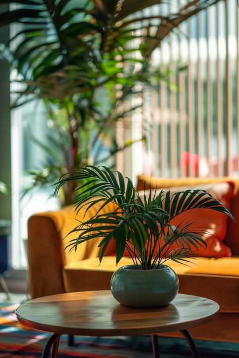 How To Care For A Hurricane Fern: Plant Tips Plant Tips, Balcony Bar, Porch Windows, Backyard Balcony, Soil Layers, Fern Plant, Online Interior Design, Furniture Arrangement, Cozy Space