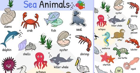 Sea animals are animals that live in the salt water of the sea or ocean. Sea Animal Names in English https://www.youtube.com/embed/yqSfWU3juDo Names Ocean, Animals Name In English, Animal Names, Crab Fishing, Water Animals, List Of Animals, Water Ocean, Animal Crafts For Kids, English Idioms