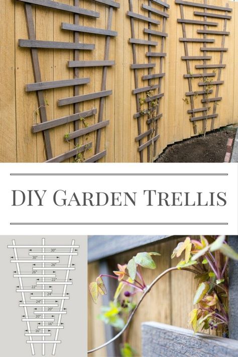 Wood Trellis Ideas, Simple Trellis, Diamond House, Woodworking Plans Patterns, Garden Gadgets, Modern Trellis, Diy Garden Trellis, Garden Paradise, Trellis Ideas