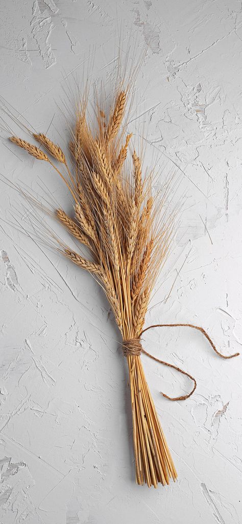 Wheat Pictures, Fields Of Wheat, Grain Field, Corn Plant, Wall Photo, Focus Photography, Close Up Photography, White Sky, Wheat Fields