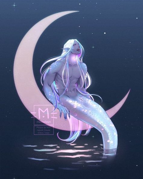 Fishman Oc, Anime Merman, Mermaid Anime, Blue Desert, Mermaid Stories, Mermaid Stuff, Sea Adventure, Mermaid Artwork, Mermaid Wallpapers