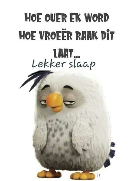 Lekker Slaap Afrikaans Oulik, Lekker Slaap Afrikaans, Nag Lekker Slaap, Mooi Prentjies, Lekker Slaap, Afrikaans Quotes, Good Night Gif, Good Night Blessings, Good Night Greetings