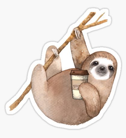 Three Toed Sloth Just Hangin' Out Enjoying a Coffee Sticker Sloth Drawings, Cute Sloth Pictures, Sloth Drawing, Stickers Animals, Sloth Tattoo, Sloth Stickers, Three Toed Sloth, Animals Stickers, Sloth Art