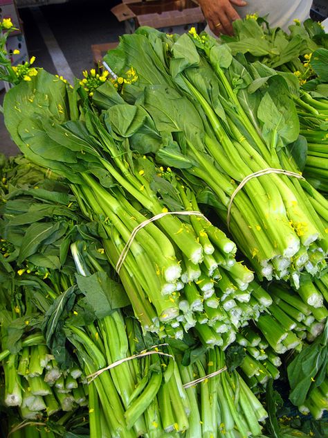 Shan State Stir Fried Mustard Greens with Pork Fried Greens Recipe, Fried Greens, Stir Fry Greens, Chinese Mustard, Chinese Broccoli, Shan State, Fruits And Vegetables Pictures, Vegetable Pictures, Chinese Green