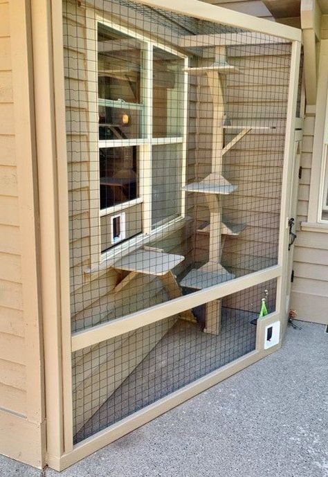 Katt Diy, Katt Grejer, Cat Enclosures, Koti Diy, Cat Patio, Outdoor Cat Enclosure, Cat House Diy, Outdoor Cat House, Cats Diy Projects