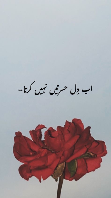 Urdu Aesthetic, One Word Instagram Captions, Poetry Photos, Aesthetics Quote, Aesthetic Captions, Meaningful Love Quotes, Aesthetic Poetry, Bestest Friend Quotes, Amazing Inspirational Quotes