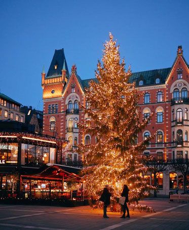 Best Christmas holiday destinations in Europe - Europe's Best Destinations Stockholm Christmas, Sweden Aesthetic, Sweden Christmas, Visit Stockholm, Christmas In Europe, Best Ski Resorts, Best Christmas Markets, Christmas Markets Europe, Sweden Travel