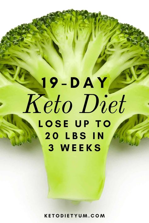 A 19-day complete keto diet plan for weight loss. Get into ketosis and start burning fat faster than ever! Keto recipes and healthy recipes you'll love! Keto Quiche, Ketogenic Diet Menu, Program Diet, Breakfast Low Carb, Keto Menu, Fat Burning Diet, Low Carb Meal Plan, Keto Pancakes, Low Carb Diets