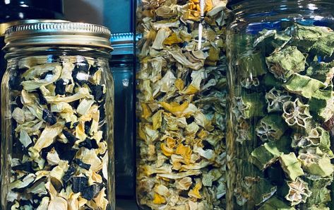 Canning Okra For Frying, Dehydrating Okra, Dehydrate Okra, Canning Okra, Dehydrating Zucchini, Dehydrated Okra, Dehydrating Fruit, Canning Zucchini, Canned Zucchini