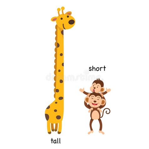 Opposite tall and short. Vector illustration royalty free illustration Opposites For Kids, Opposites Preschool, Tall And Short, Kids Worksheets Preschool, Free Preschool Worksheets, Flashcards For Kids, Kids English, Alphabet Activities Preschool, Animal Crafts For Kids