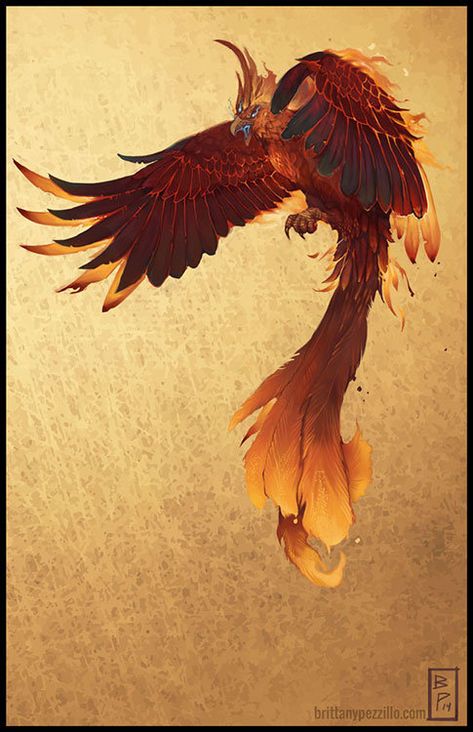 The Greater Phoenix, bpezz Griffin Mythical, Phoenix Drawing, School Murals, Phoenix Art, Phoenix Bird, Muse Art, Fire Bird, Mythical Creatures Art, Bird Drawings