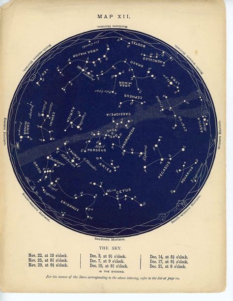 1884 november & december constellations star map original antique celestial astronomy chart Star Sky Map, Night Sky Constellations, Vintage Constellation, Star Map Constellations, March Zodiac, Map Nursery, Celestial Map, Constellation Map, Celestial Wedding