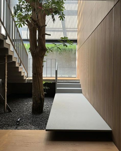 All Posts • Instagram Indoor Courtyard, Landscape Stairs, Indoor Water Features, Japandi Interiors, Concrete Architecture, Tropical Architecture, Courtyard Design, Architecture People, Outdoor Stairs