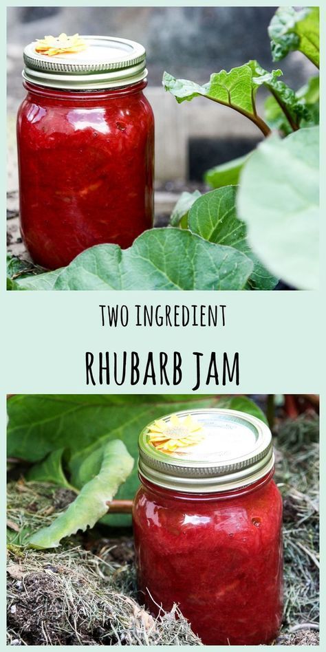 Rhubarb Marmalade Recipe, Rhubarb Jelly, Rhubarb Jam Recipes, Homemade Jams, Jam Jam, Rhubarb Desserts, Jam Recipes Homemade, Canning Jam, Rhubarb Jam