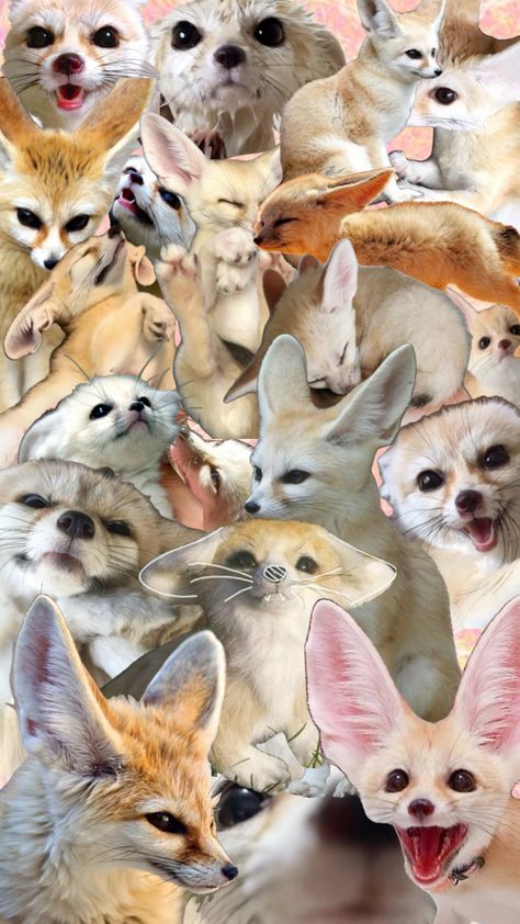 Fennec Fox Therian, Fox Therian, Fox Mask, Fennec Fox, Cute Little Animals, Spirit Animal, Baby Animals, Fox