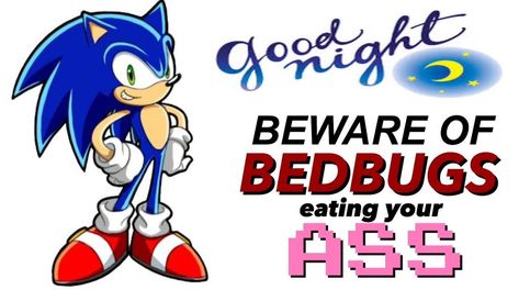 Sonic Pick Up Lines, Sonic Pickup Lines, Sonic Quotes, Sonic Being Silly, Sonic Meme, Sonic Fandub Memes, Sonic Memes Funny, Sonic Funny, Text Memes