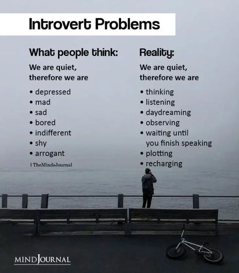 Introvert Vs Extrovert, Introvert Love, Introvert Personality, Quiet Person, Introvert Problems, Introverts Unite, Introvert Quotes, Introvert Humor, Extroverted Introvert