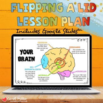 Upstairs And Downstairs Brain, Model Of The Brain, Brain Gym For Kids, Parts Of The Brain, Middle School Counseling, Big Emotions, Brain Gym, Social Thinking, Work Family