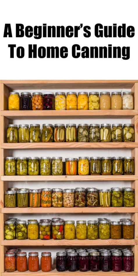 Canning 101, Home Canning Recipes, Canning Food Preservation, Canned Food Storage, Canning Tips, Emergency Preparation, Home Canning, Pressure Canning, Survival Life