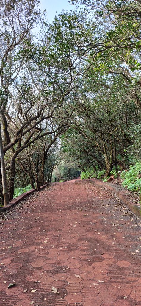 Matheran Snap, Matheran Hill Station, Casual Frocks, Hill Station, Snap Food, Collage, Pins, Quick Saves