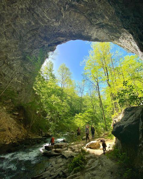 it’s the perfect time of year for hiking in Tennessee 😍 this coming Tuesday is my next monthly women’s group hike and I have a handful of spots available! read below if you’re free on Tuesday & want to join: once a month I volunteer my time to lead free women’s group hikes near Chattanooga in the Southeast TN region with a nonprofit organization called “Girls Who Hike Tennessee” 🥾 the organization (@girls_who_hike_tennessee) spans across the entire state and offers hikes, campouts, and even... Beginner Hiker, Chattanooga Tn, Small Waterfall, Mountain View, Tour Guide, Tennessee, Wild Flowers, Hiking, Travel