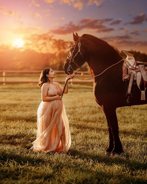 Sunset maternity photoshoot with magestic black stallion horse Maternity Session With Horse, Horse Pregnancy Photoshoot, Maternity Pics With Horses, Maternity Photo With Horse, Maternity Photoshoot With Horse, Maternity Photo Shoot With Horses, Maternity Photography Horses, Maternity With Horse, Maternity Photography With Horses