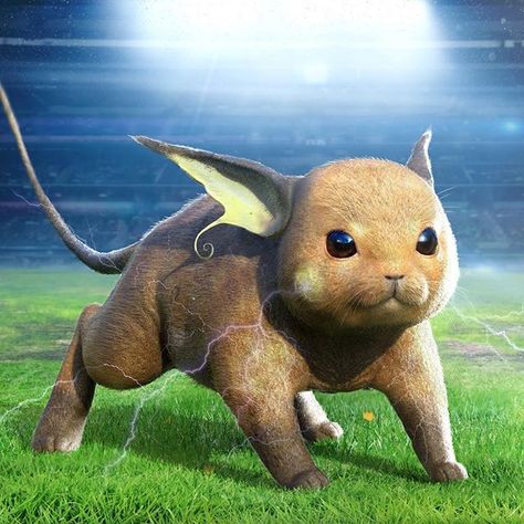 Does real life depictions of pokemon like this creep you out?  Raichu By @joshdunlopconceptartist  #Pokemon #Nintendo #DetectivePikachu #Pikachu #Raichu #PokemonGo #NintendoSwitch #Switch #pocketmonsters #pokemonletsgo #pokémon Joshua Dunlop, Realistic Pokemon, Pokemon Artwork, Pokémon Fusions, Pokemon 2000, Pokemon In Real Life, Pikachu Raichu, 3d Pokemon, Pokemon Realistic