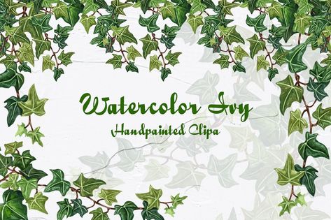 Ivy Watercolor, Watercolor Collection, Watercolor Set, Floral Drawing, Find Color, Cards Wedding, Wedding Decoration, The Collection, Seamless Patterns