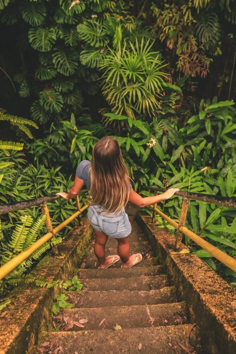 8 of the Best Things to do in Hilo, Hawaii | Explore Hilo Bayfront | Kaumana Caves State Park #simplywander Big Island Hikes, Hawi Hawaii, Hawaii Vibes Aesthetic, Big Island Itinerary, Hawaii Tips, Hawaii 2023, Molokai Hawaii, Hawaii Trip Planning, Island To Visit