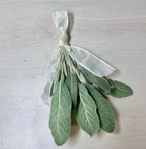 How to Preserve Lambs Ear - South House Designs Dry Lambs Ear, Dried Lambs Ear, Lambs Ear Plant, Lambs Ears, Lavender Crafts, Shade Garden Plants, Lambs Ear Wreath, Lavender Bouquet, Dried Flower Wreaths