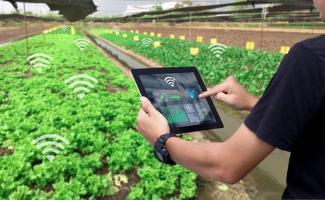 IoT in Agriculture: 5 Technology Use Cases for Smart Farming (and 4 Challenges to Consider) Agriculture Education Activities, Digital Learning Educational Technology, Agriculture Education Classroom, Agriculture Classroom, Technology In Agriculture, Smart Farming, Agriculture Photography, Agriculture Design, Tesla Technology