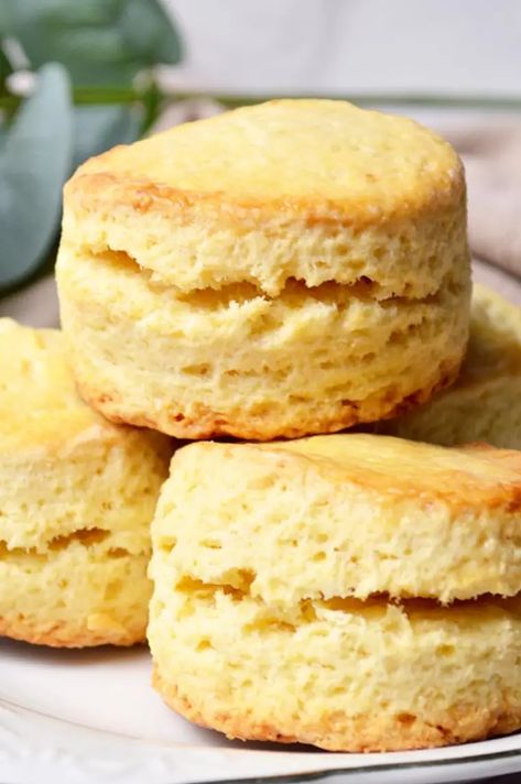 Easy Mary Berry Plain Scones Recipe British Scones Recipe Mary Berry, Mary Berry Scones Recipe, Plain Scones Recipe, Mary Berry Scones, Treacle Scones, Mary Berry Recipes, Fruit Scones Recipe, Perfect Scones Recipe, Plain Scones