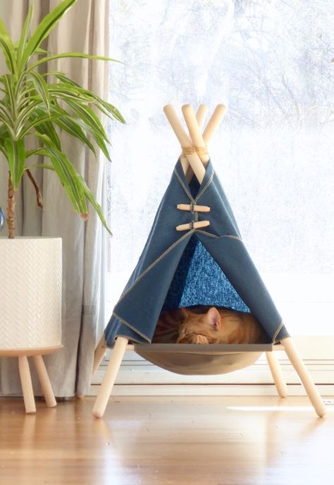 Katt Diy, Cat Teepee, Katt Grejer, Pet Teepee, Dog Tent, Niche Chat, Kitten Beds, Cat Tent, Sleepy Kitty