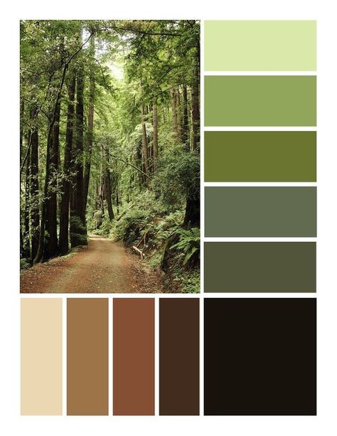 Forest Core Color Palette, Nature Pallete Colour Palettes, Green Interior Design Color Palette, Color Palets Green, Sage Green Brown Color Palette, Natural Green Colour Palette, Greens And Browns Palette, Color Palette From Nature, Mossy Color Palette