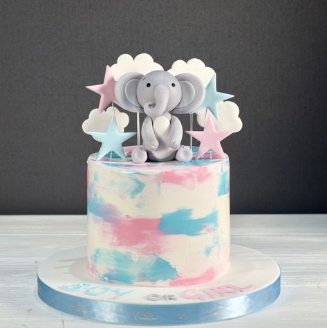 Gender Reveal Cake Elephant Theme, Gender Reveal Buttercream Cake, Gender Reveal Cake Elephant, Blue And Pink Cake Design, Pink And Blue Cake Gender Reveal, Simple Gender Reveal Cake Pink And Blue, Pink And Blue Baby Shower Cake, Elephant Gender Reveal Cake, Gender Reveal Torte