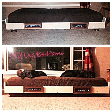 DIY Dog Bedframe - dog bed - twin bed was perfect for two large black labs. Painted frame to match coffee table and end tables in living room!  #dogbed Bed Frame With Dog Bed, End Tables In Living Room, Tables In Living Room, Diy Kids Art Display, Coffee Table And End Tables, Diy Dog Crate, Diy Dog Bed, Food Bowls, Diy Bed Frame