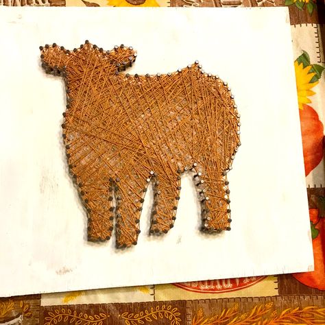 String Art Painted White Wood With Fluffy Show Steer In Creamy Tannish Color Western Farm Country Cattle Cow Livestock Show Steer Nail Yarn Wood Art, 4h Projects, Western Nursery, Livestock Show, Halloween Witch Wreath, Flamingo Wall Art, Glitter Wall Art, Nail String Art, Unicorn Wall Art