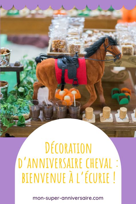 Décoration d'anniversaire cheval Meme Costume