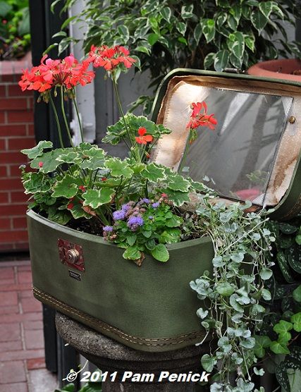 Vintage suitcase planter Garden Junk, Garden Containers, Unique Gardens, Plywood Furniture, Kelly Wearstler, Vintage Garden, Outdoor Ideas, Container Plants, Garden And Yard