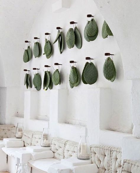 BAREFOOT GYPSY on Instagram: “Cacti | via #pinterest��” Cactus Leaves, Indoor Cactus, Casa Country, Cactus Decor, Mediterranean Decor, Deco Floral, Prickly Pear, Retail Design, Restaurant Design