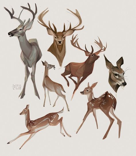 Transform your canvas into a wilderness with our deer illustration tips! Dive into a blend of artistry and nature, mastering art that bring your deer to life. Fawn Character Design, Deer Sketch, Hirsch Tattoo, Deer Cartoon, Drawing Refrences, Deer Drawing, Deer Illustration, Deer Art, 인물 드로잉