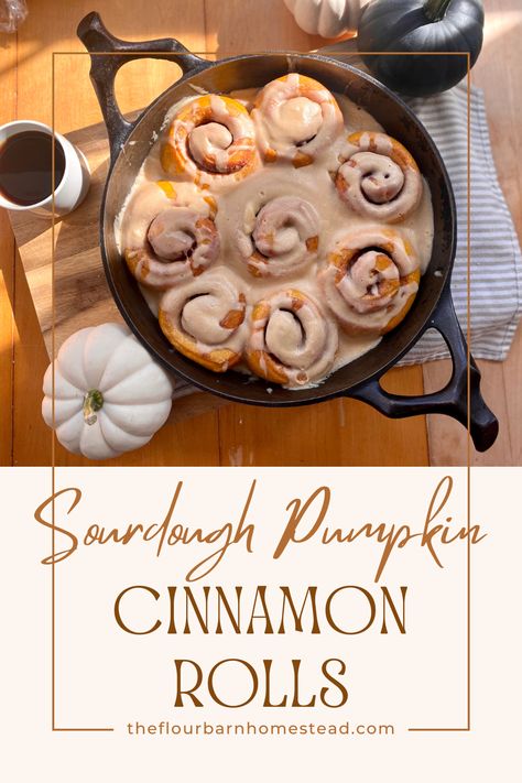 Sourdough Pumpkin Cinnamon Rolls are soft, gooey and full of fall flavor.  Pumpkin Sourdough Cinnamon Rolls are made from a beautiful, naturally leavened brioche. These Homemade Pumpkin Cinnamon Rolls are filled with cinnamon sugar and topped with a Maple Cream Cheese Frosting. What could be better? Sourdough Pumpkin Cinnamon Rolls, Sourdough Pumpkin Cinnamon Buns, Sourdough Pumpkin CInnamon Brioche. Pumpkin Cinnamon Rolls. Homemade Cinnamon Rolls. Sourdough Pumpkin Roll, Sourdough Pumpkin Cinnamon Rolls, Rolls Sourdough, Cinnamon Brioche, Pumpkin Sourdough, Sourdough Pumpkin, Maple Cream Cheese Frosting, Sourdough Cinnamon Rolls, Maple Cream Cheese