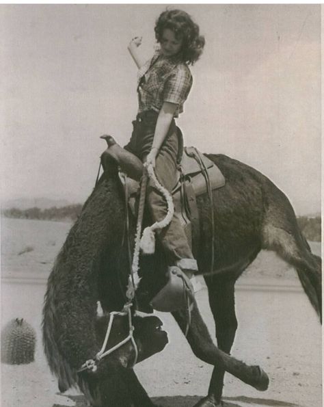 1890s Western Aesthetic, Woman On Horse Reference, Vintage Cowboy Photography, Sapphic Cowgirl Aesthetic, 1940s Cowgirl, Horse Riding Reference, Vintage Cowboy Aesthetic, Vintage Cowgirl Aesthetic, Cowgirl On Horse