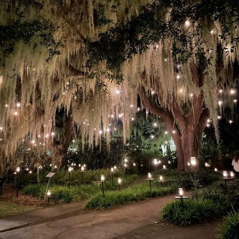 Cottagecore Wedding Venue Aesthetic, Wedding Asthetic Picture Background, Instagram Garden Pictures, Night Time Garden Wedding, Wedding In A Garden, Fairytale Wedding Venue Aesthetic, Magical Garden Aesthetic, Whimsical Wedding Indoor, Romantic Garden Night