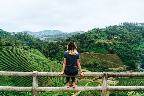 2,000+ Sitting On Fence Farm Stock Photos, Pictures & Royalty-Free Images - iStock Sitting On Fence, Medical Photos, Family Stock Photo, Technology Photos, Aerial Video, Drink Photo, Lifestyle Illustration, Silhouette Illustration, Video Artist