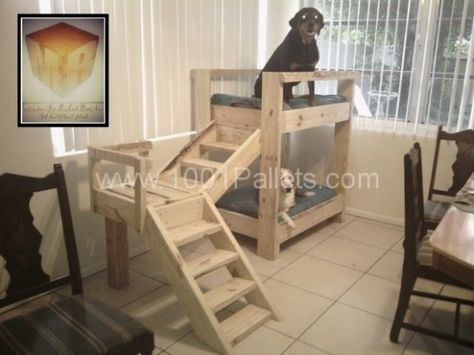 Beautiful double bed for dogs ! one of the most original idea ever seen with pallets !  More information at Cabinetry By Michael Reed Inc website ! Idea sent by shawn langeland ! Dog Bunk Beds, Pallet Dog Beds, 1001 Pallets, Bed Dog, Pallet Creations, Dog Rooms, Recycled Pallets, Pallet Crafts, Wood Pallet Projects