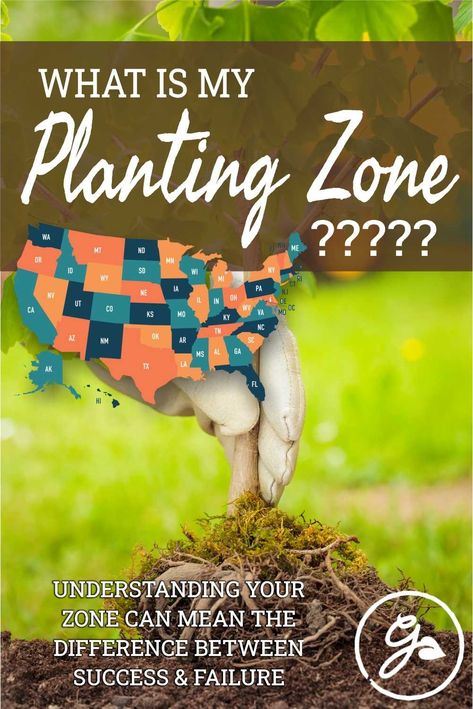 Understanding the #USDA #planting #zones you live in can mean the difference between success and failure in your garden. Planting #vegetables, #flowers and other #plants that are appropriate for your U.S. growing zone will make sure that your garden is happy and healthy year after year. Get the Know How. Usda Zones Maps, Flower Zones Map U.s. States, Zones For Gardening, Zone Planting Map, Growing Zones Map United States, What Planting Zone Am I In, What Garden Zone Am I In, Gardening Zones Map U.s. States, Plant Zones Map United States